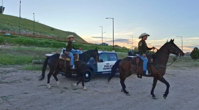 Participa Policía Montada en vigilancia de parque El Encino