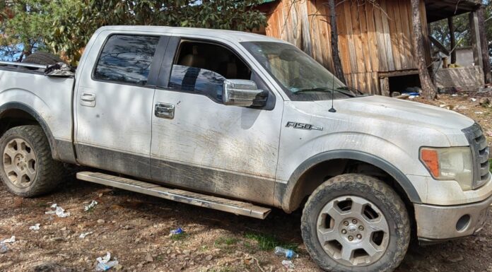 Aseguran arma, más de mil 800 cartuchos y mariguana, en Moris