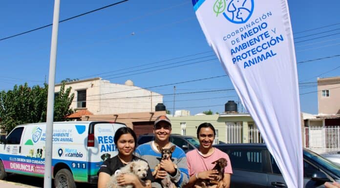Llevará Gobierno Municipal servicios gratis para mascotas al Parque El Platanito