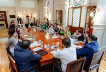 Aprueba Cabildo reglamentos y protocolos de protección animal