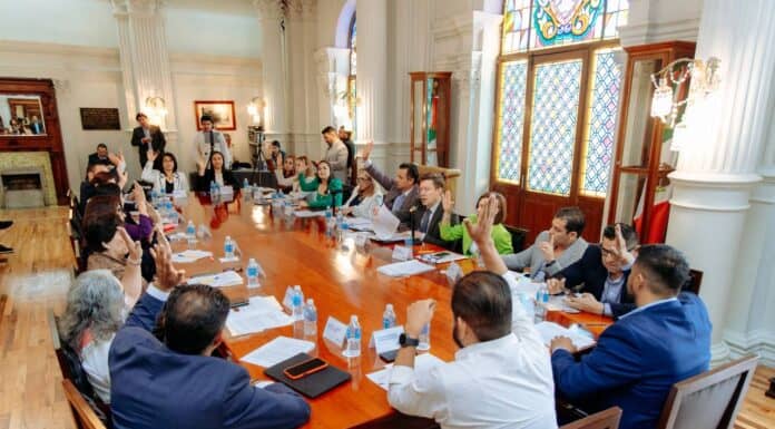 Aprueba Cabildo reglamentos y protocolos de protección animal