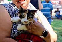 ¿Quieres esterilizar a tu mascota? Agenda cita en el Esterimóvil de Municipio
