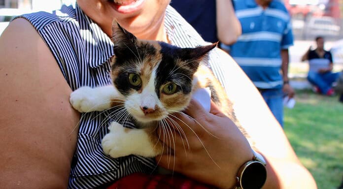 ¿Quieres esterilizar a tu mascota? Agenda cita en el Esterimóvil de Municipio