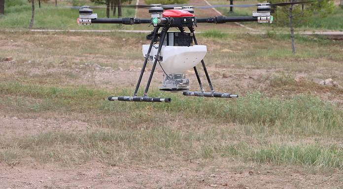 Impulsan reforestación en la Sierra Tarahumara con apoyo de la SDR