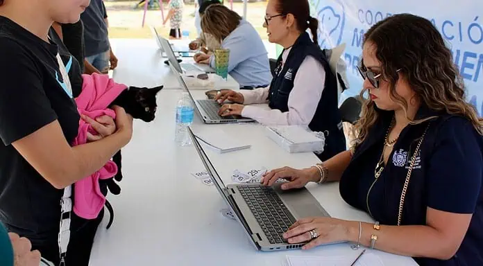Más de 3 mil mascotas ya forman parte del Registro Municipal de Animales de Compañía