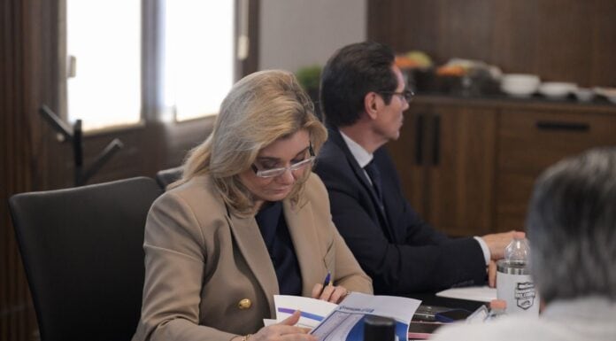 Maru revisa con gabinete avance de estrategia contra el sarampión