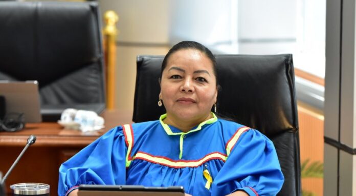 Propone Congreso acciones para proteger el derecho a la salud de las mujeres indígenas en México