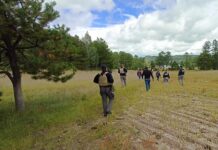 Localiza FGE restos óseos durante rastreo en Balleza