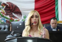 Diputada impulsa creación de mesa técnica para legislar sobre IA