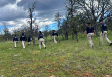 Realiza FGE rastreo en Carichí con apoyo de binomio canino y dron