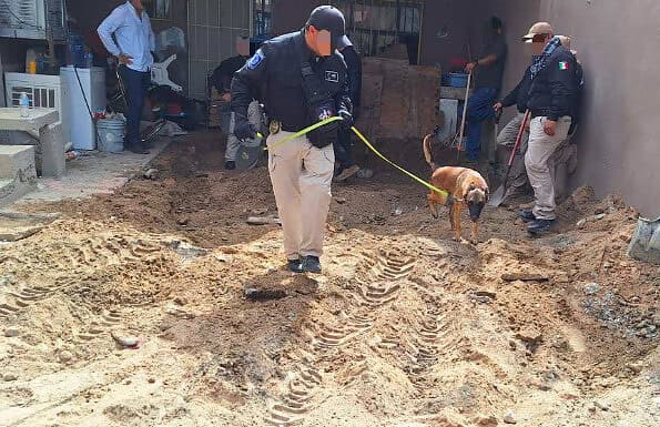 Realiza FEM cateo a domicilio en seguimiento a una carpeta de investigación