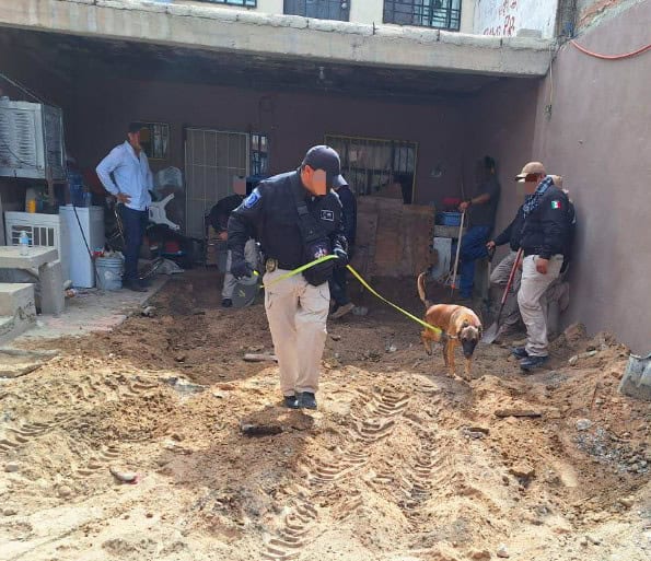 cateo domicilio juarez fem
