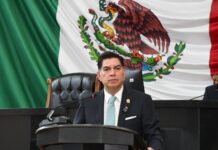 Eleva Congreso a rango constitucional la protección animal