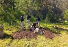 Realiza FGE Occidente seguimiento a rastreo en Arroyo de Baporeachi, municipio de Carichí