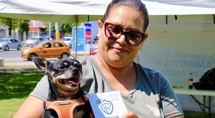 Micro, un perrito protegido gracias a los servicios para mascotas que ofrece Municipio
