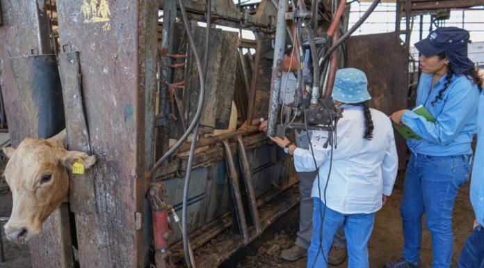 Presenta Chihuahua a USDA avances en estrategia contra el Gusano Barrenador del Ganado