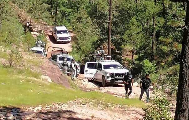 Localizan punto de halconeo, fusil y balas calibre .223mm en Guadalupe y Calvo