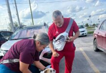 Policías Municipales ayudan a reunir a una perrita de apoyo emocional con su familia