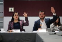 Salud Mental debe ser prioridad en Educación: piden diputados en Congreso