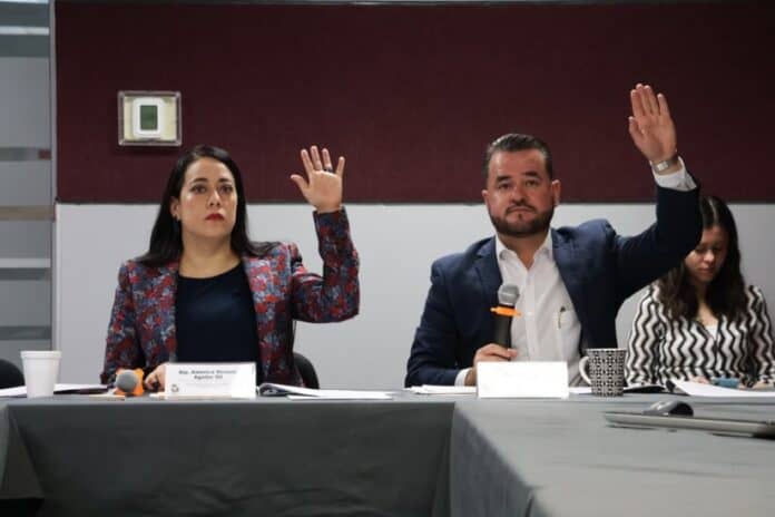 salud mental diputados