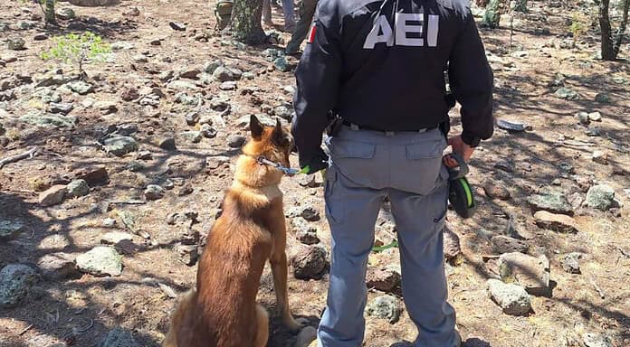 Identifican a dos cuerpos masculinos que fueron localizados en ‘El Willy’