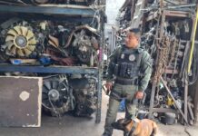 Realizan células BOI supervisiones en yonques para descartar irregularidades