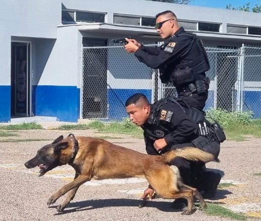 aliados prevencion