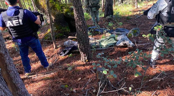 Asegura Célula BOI arma de fuego y equipo táctico en Guadalupe y Calvo