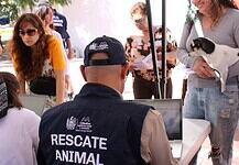 Brindó Municipio más de 300 servicios gratuitos para mascotas en Wellness Fest 2025