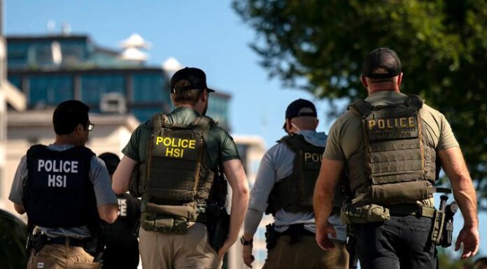 EU no permitirá migrantes ilegales pese cierre de gobierno: ICE