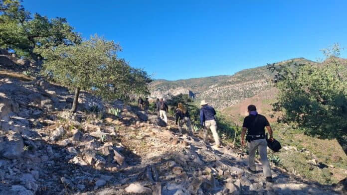 ininterrumpida busqueda