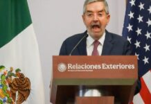 ”México coopera, pero no se subordina a ningún país”, dice De la Fuente