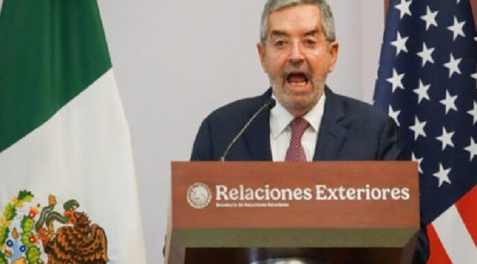 ”México coopera, pero no se subordina a ningún país”, dice De la Fuente