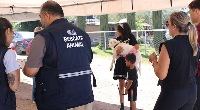 Esteriliza Gobierno Municipal a 48 mascotas duranta jornada de salud en Labor de Terrazas