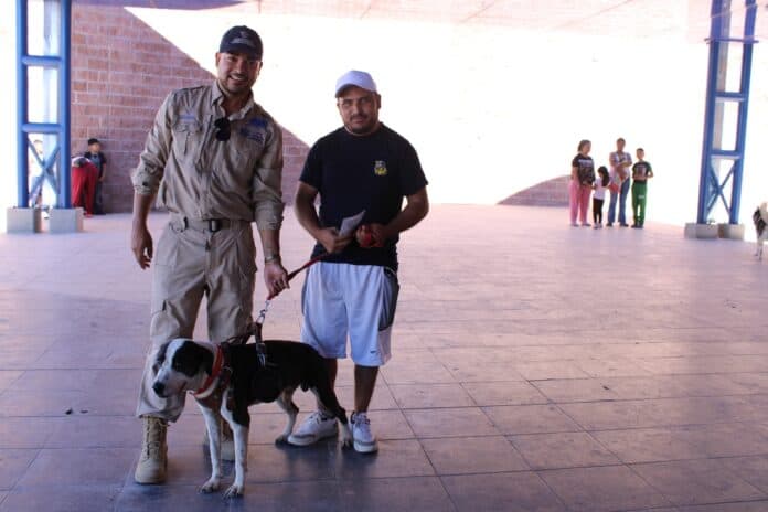 mil servicios