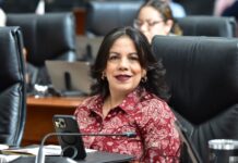 Congreso designa Panel de Especialistas para la elección del nuevo titular de la ASE