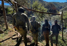 Aseguran plantíos de mariguana y campamentos al norte del municipio de Chihuahua