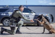 Recuerda Municipio a los compañeros de cuatro patas que dejaron huella
