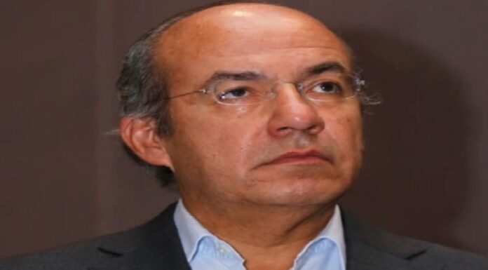 Respalda Felipe Calderón a Lilly Téllez por su petición de ¨guerra contra el narco¨