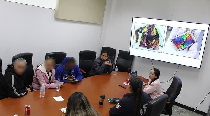 Identifica FGE Occidente cinco cuerpos mediante estudios de genética