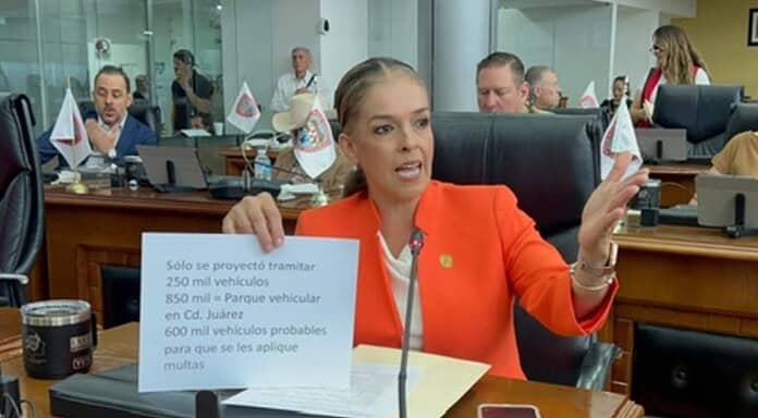 “Defender la ecología no significa defender multas de $3,400: Diputada Xóchitl Contreras