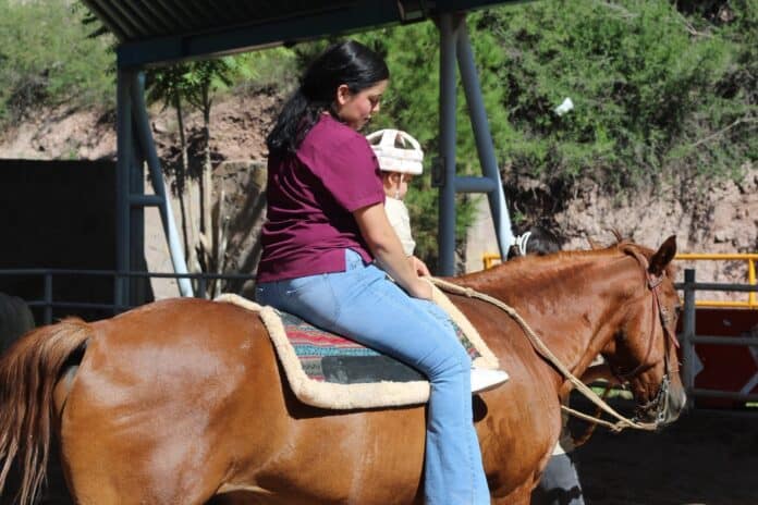 equinoterapia chihuahua