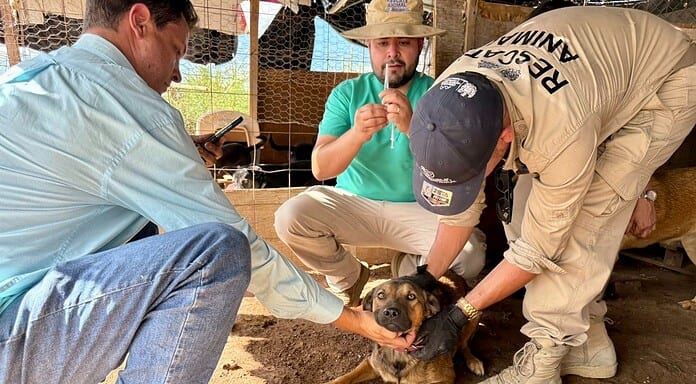 Brinda Municipio apoyo continuo a refugios y rescatistas para fortalecer la protección animal