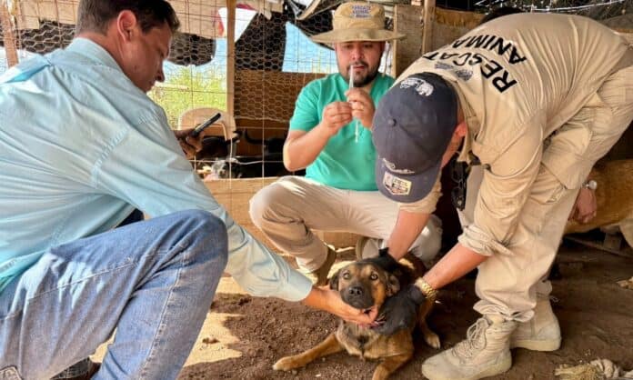 fortalecer proteccion animal