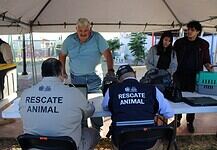 Lleva Municipio servicios gratuitos a la colonia Insurgentes para cuidar la salud de perros y gatos