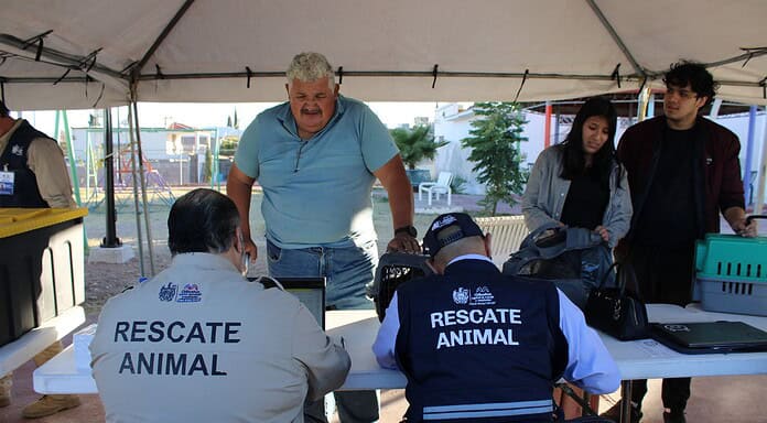 Lleva Municipio servicios gratuitos a la colonia Insurgentes para cuidar la salud de perros y gatos