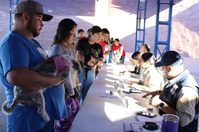 gratuitos municipios