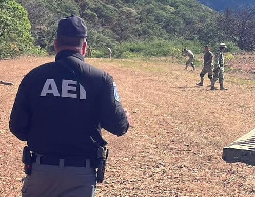 Destruyen AEI y Ejército pista de aterrizaje clandestina en Moris