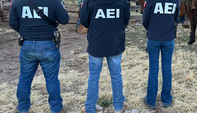 Recupera Fiscalía Noroeste 37 cabezas de ganado robadas en Janos