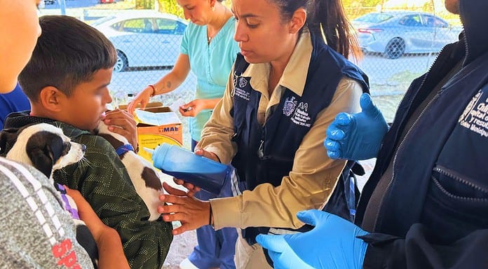 Brindará Municipio servicios gratuitos para perros y gatos en Minerales